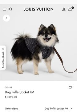 Brand new Louis Vuitton dog puff jacket