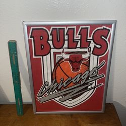 Chicago Bulls Frame 