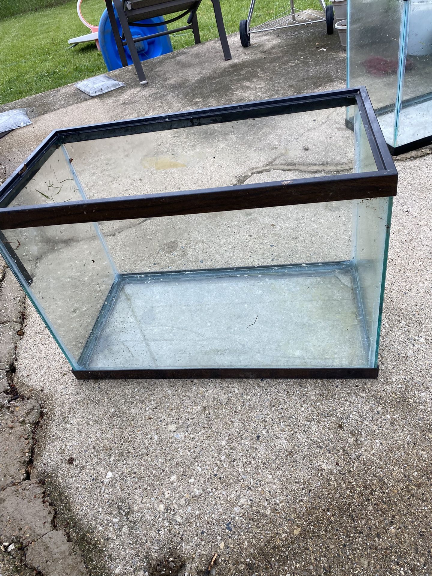 20 Gallon Fish Tank