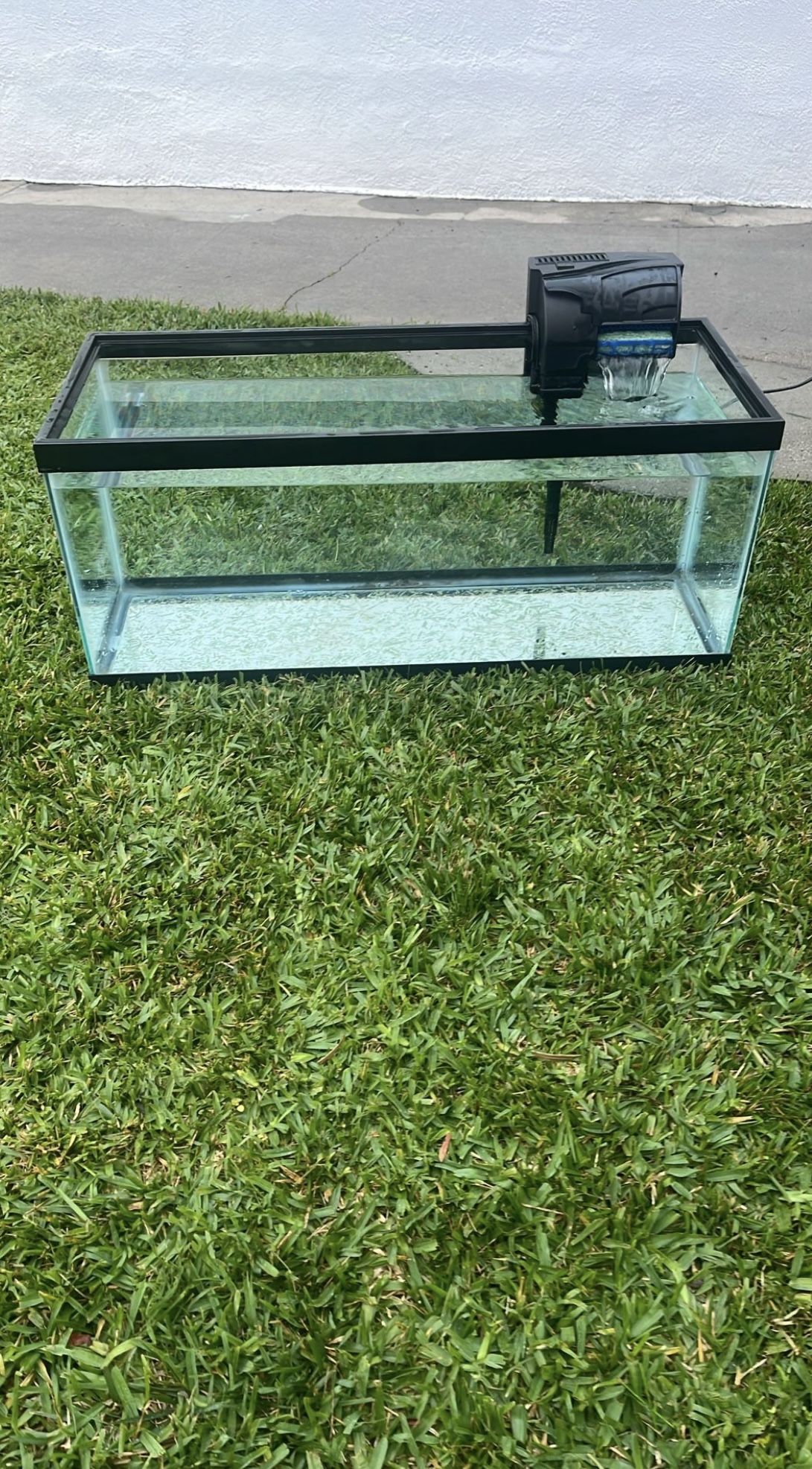 20 Gallon Fish Tank