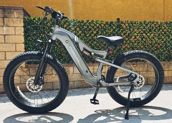 Packypuppy (Labrador) e bike