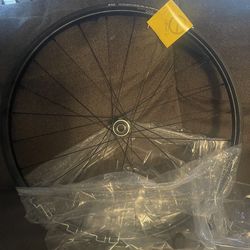 Bicycle Rims