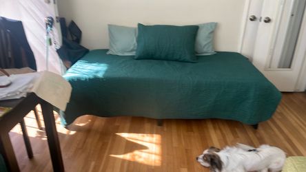 Twin bamboo bed and black frame