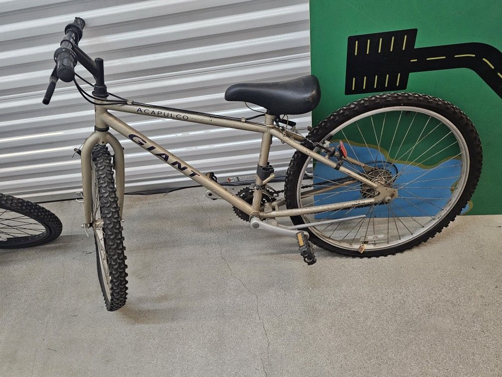Giant Acapulco 13.5 Mountain Bike