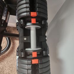 NordicTrack Adjustable Dumbells And Stand