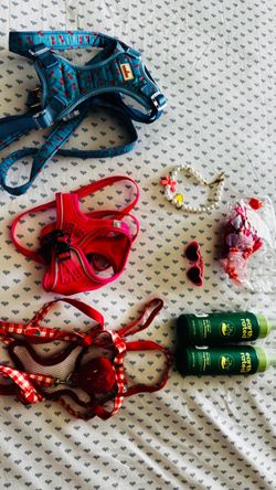 Ropita para perrita  y accesorios