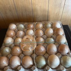 Eggs