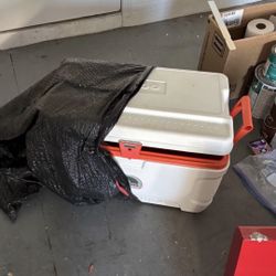 Igloo Cooler 