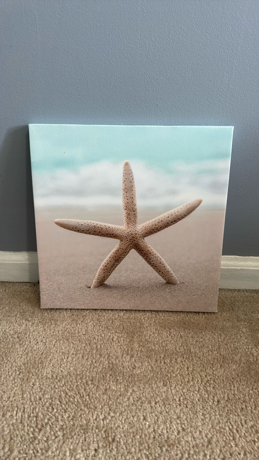 Canvas Starfish Photo 