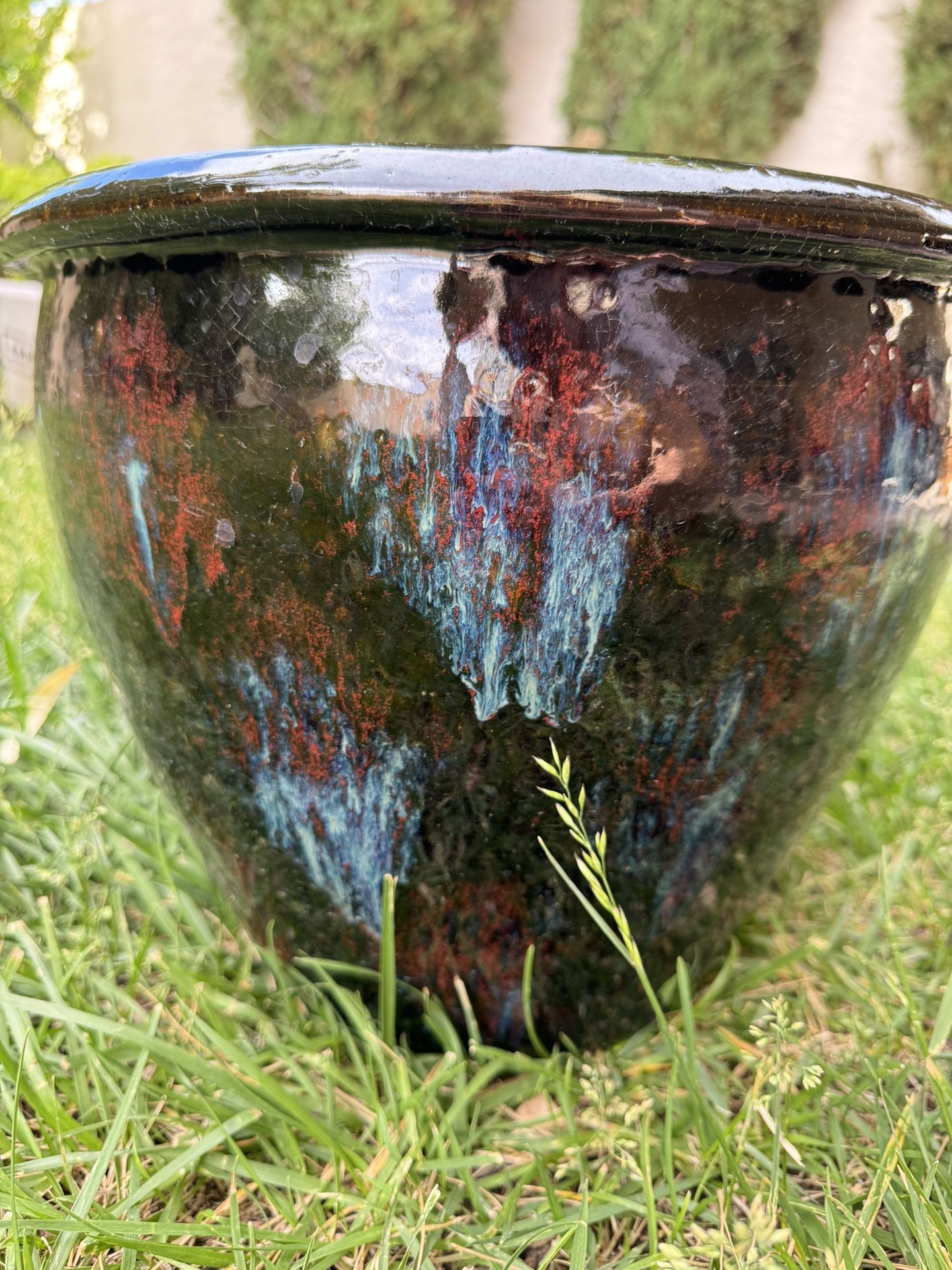 Plant Pot