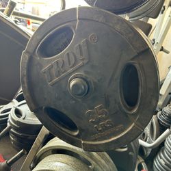 Rubber Coated Troy Plates 35lbs $100 For The Pair