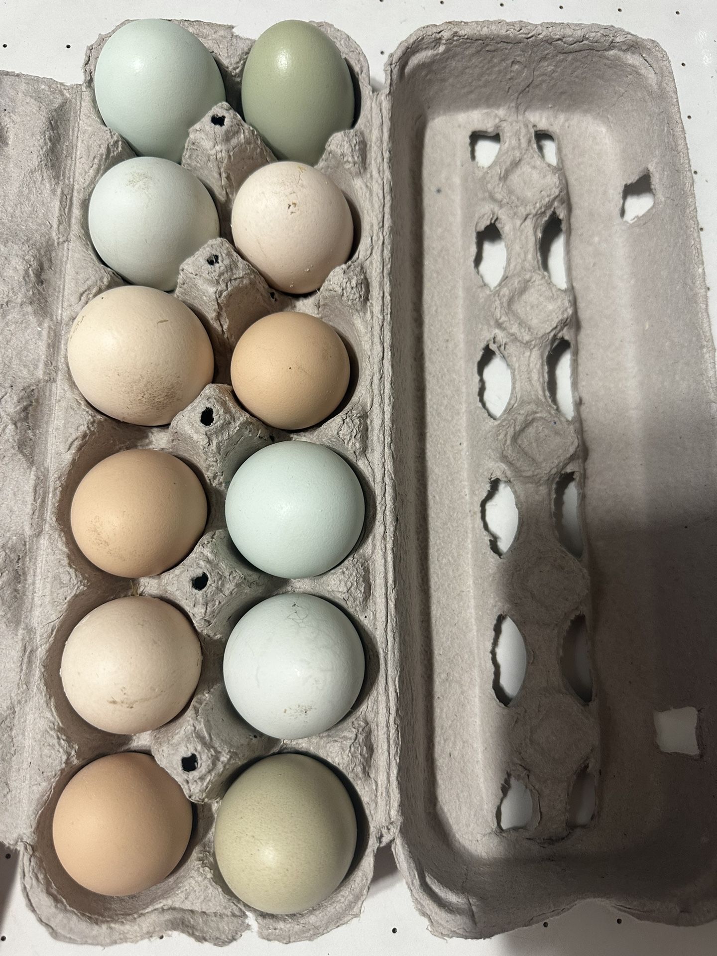 Fresh Eggs