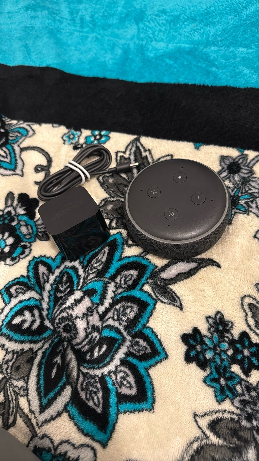 Amazon Echo Alexa