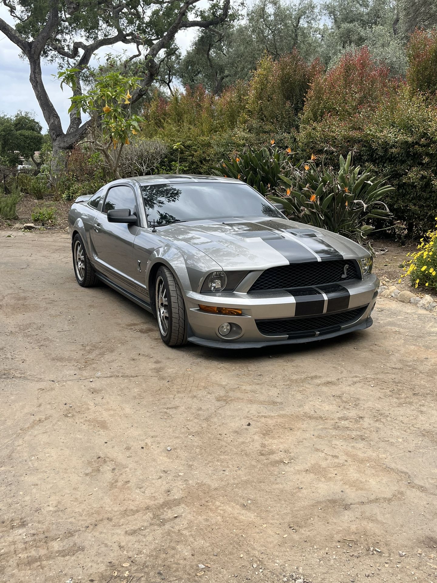 2008 Ford Shelby Gt500