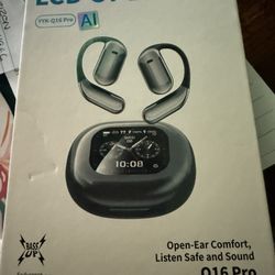 New-Translation Earbuds