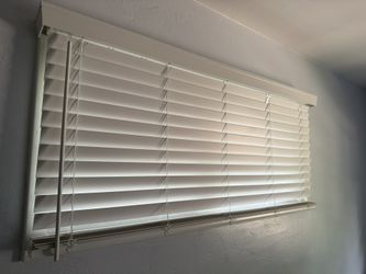 Window Blinds
