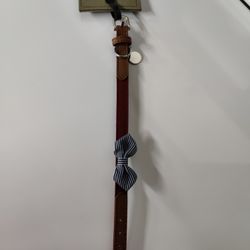 Small Bow Tie Dog Collar