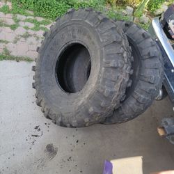 Super Swampers