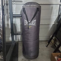 Punching Bag 