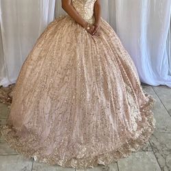 BEAUTIFUL Quince/Sweet 16 Dress With Crinoline 