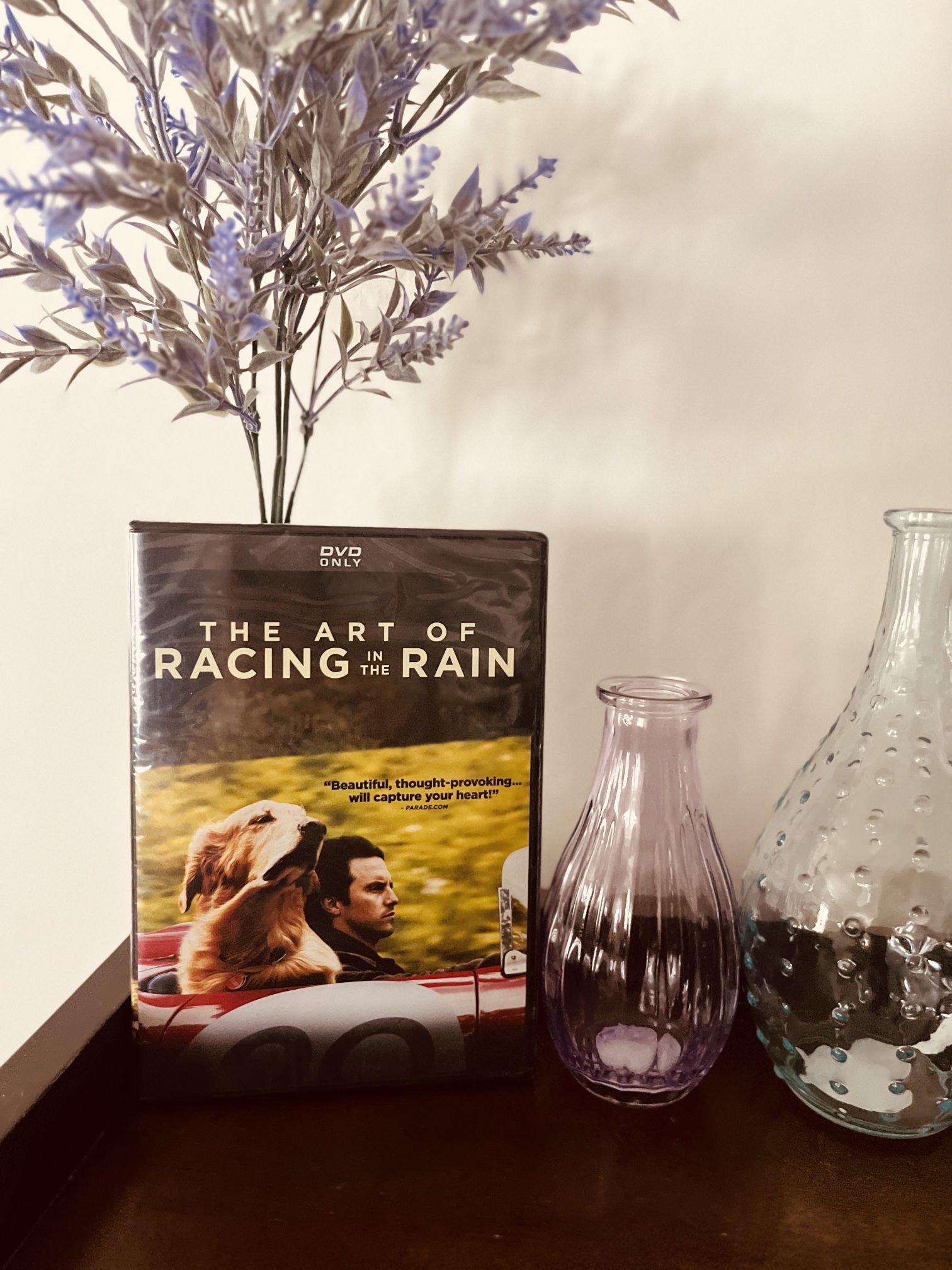 NEW The Art Of Racing In The Rain DVD