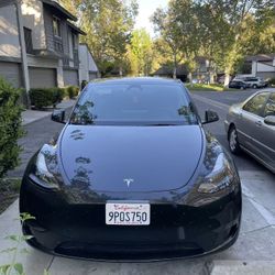 2024 Tesla Model Y RWD for sale