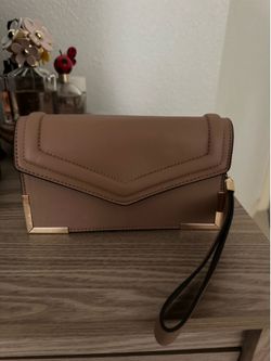 Aldo purse/clutch