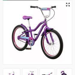 Schwinn Girls Bike 