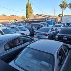 Public auctions