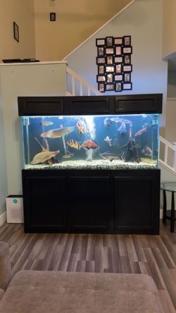 Aquarium tank / Misc