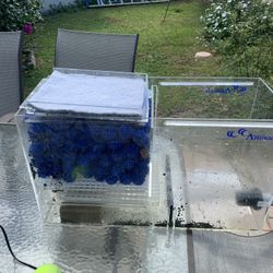 Salt Water Filtration System Including Bio Balls 