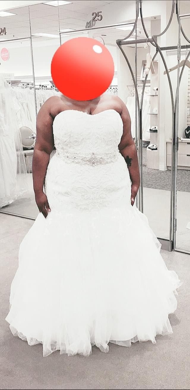 Brand New Wedding Dress 