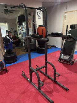 Dip Pull Up Gym Can Deliver