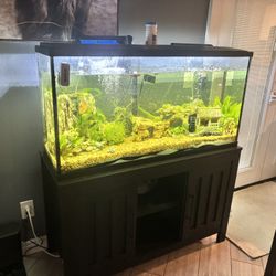 Stuff For Sale