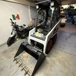 Bobcat 
