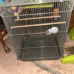 Bird  Cage Nice 