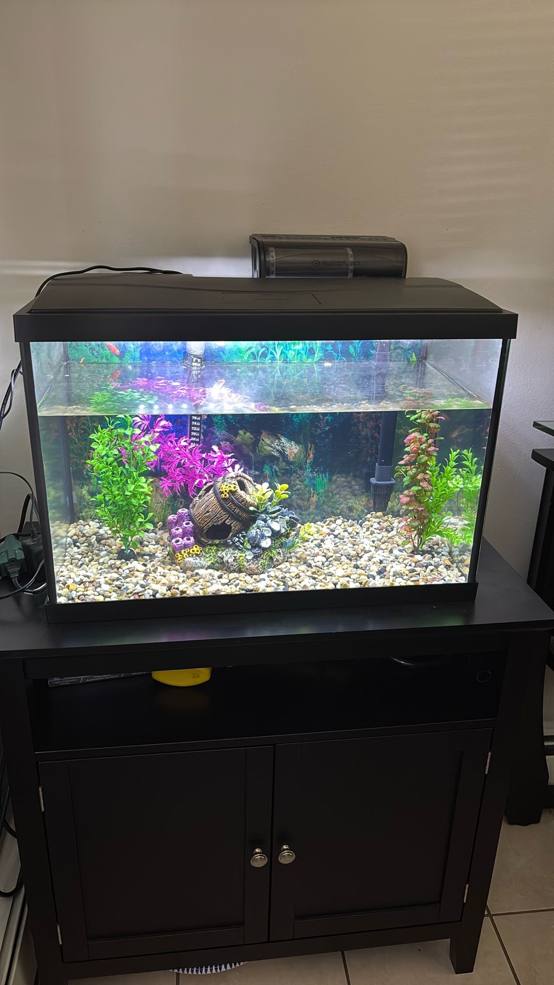 20 Gallon Fish tank.