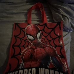 Spider Man Bag 