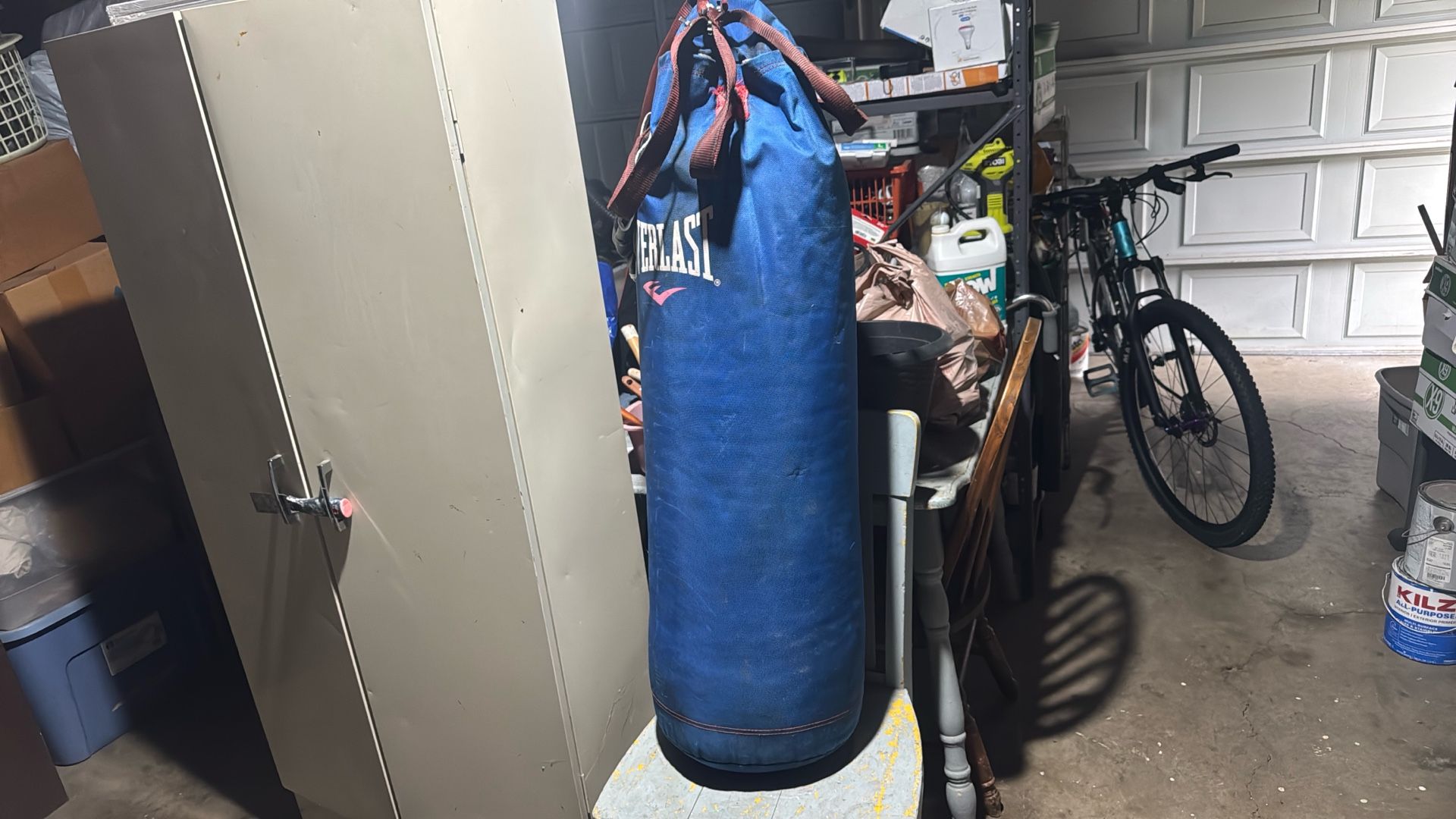 Everlast Heavy Punching Bag  