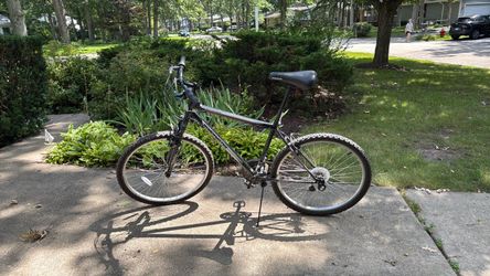 Free Bike