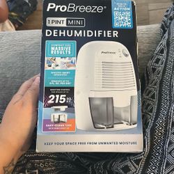 Small Dehumidifier 