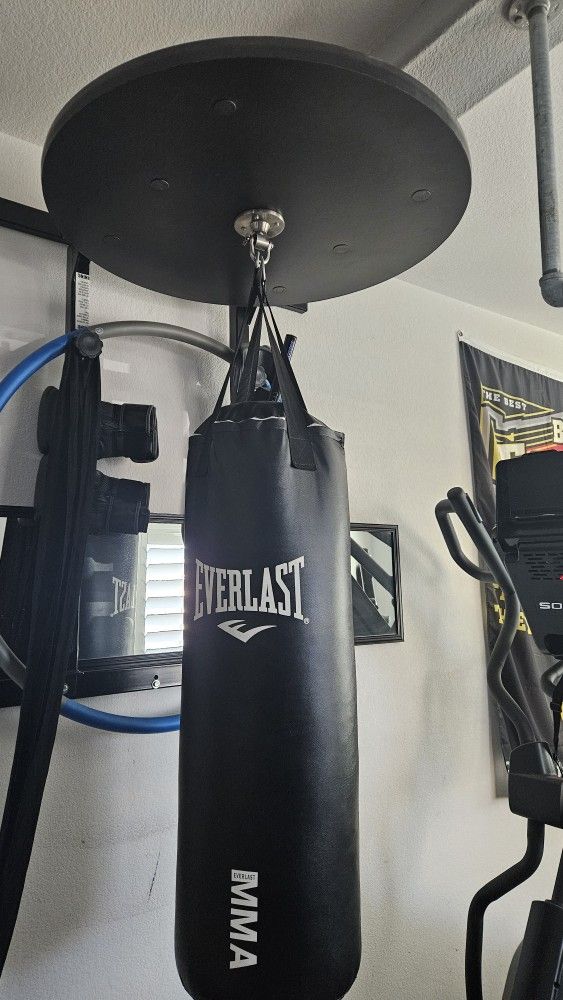 Everlast Punching Bag With Wall Mount