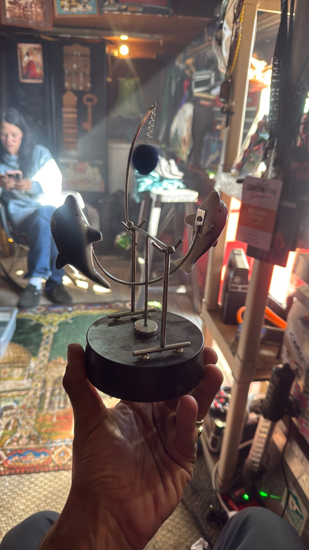 Dolphin Pendulum Swinger Physics