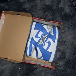 Nike Dunk High