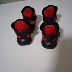 Tenis Para  Perritos Size 5