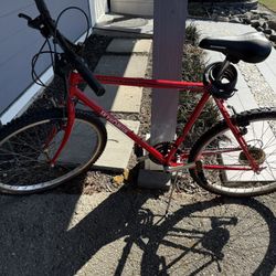 Selling 3 Adult Bikes 