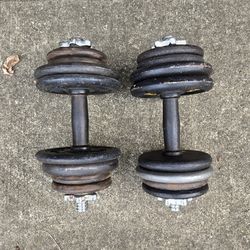 35lb each Standard 1inch Adjustable Dumbbells