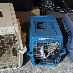 3 Pet Kennels 