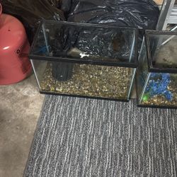 10 Gallon Fish Tanks 