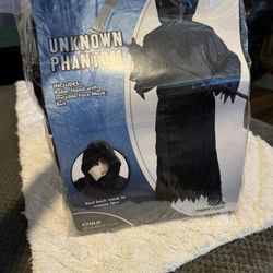 Phantom Costume